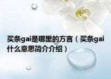 買(mǎi)條gai是哪里的方言（買(mǎi)條gai什么意思簡(jiǎn)介介紹）