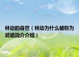 林動(dòng)的身世（林動(dòng)為什么被稱(chēng)為武祖簡(jiǎn)介介紹）