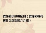 皮棉和長絨棉區(qū)別（皮棉和棉花有什么區(qū)別簡介介紹）