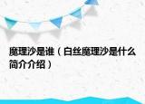 魔理沙是誰(shuí)（白絲魔理沙是什么簡(jiǎn)介介紹）