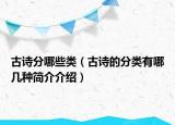 古詩分哪些類（古詩的分類有哪幾種簡介介紹）