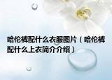 哈倫褲配什么衣服圖片（哈倫褲配什么上衣簡(jiǎn)介介紹）
