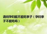 請(qǐng)問(wèn)孕婦能不能吃李子（孕婦李子不能吃嗎）