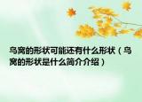 鳥窩的形狀可能還有什么形狀（鳥窩的形狀是什么簡介介紹）