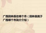 廣西田林縣在哪個(gè)市（田林縣屬于廣西哪個(gè)市簡(jiǎn)介介紹）