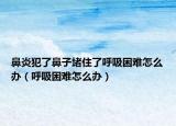 鼻炎犯了鼻子堵住了呼吸困難怎么辦（呼吸困難怎么辦）