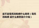 是不是毫無違和感什么意思（毫無違和感 是什么意思簡介介紹）