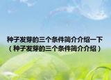 種子發(fā)芽的三個條件簡介介紹一下（種子發(fā)芽的三個條件簡介介紹）