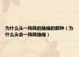 為什么頭一陣陣的抽痛的那種（為什么頭會(huì)一陣陣抽痛）