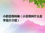 小的吉他叫啥（小吉他叫什么名字簡介介紹）