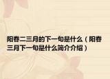 陽(yáng)春二三月的下一句是什么（陽(yáng)春三月下一句是什么簡(jiǎn)介介紹）