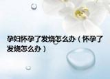 孕婦懷孕了發(fā)燒怎么辦（懷孕了發(fā)燒怎么辦）