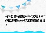 wps怎么轉(zhuǎn)換成word文檔（wps可以轉(zhuǎn)換word文檔嗎簡介介紹）