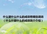 什么望什么什么的成語有哪些詞語（什么什望什么的成語簡(jiǎn)介介紹）
