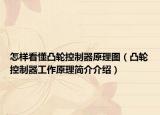 怎樣看懂凸輪控制器原理圖（凸輪控制器工作原理簡介介紹）