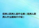 非洲人歐洲人是什么梗（非洲人歐洲人什么梗簡(jiǎn)介介紹）