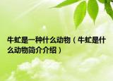 牛虻是一種什么動(dòng)物（牛虻是什么動(dòng)物簡介介紹）