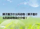 獅子屬于什么科動(dòng)物（獅子是什么科的動(dòng)物簡(jiǎn)介介紹）