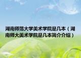 湖南師范大學(xué)美術(shù)學(xué)院是幾本（湖南師大美術(shù)學(xué)院是幾本簡介介紹）