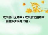 吹風(fēng)機(jī)什么功率（吹風(fēng)機(jī)常用功率一般是多少簡介介紹）