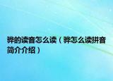 驊的讀音怎么讀（驊怎么讀拼音簡介介紹）