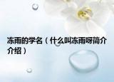 凍雨的學(xué)名（什么叫凍雨呀簡介介紹）