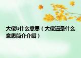 大傻b什么意思（大傻逼是什么意思簡(jiǎn)介介紹）