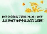 肚子上突然長(zhǎng)了很多小紅點(diǎn)（肚子上突然長(zhǎng)了許多小紅點(diǎn)點(diǎn)怎么回事）