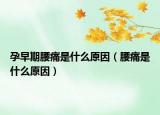 孕早期腰痛是什么原因（腰痛是什么原因）