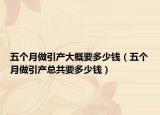 五個月做引產(chǎn)大概要多少錢（五個月做引產(chǎn)總共要多少錢）
