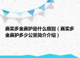 嘉實(shí)多金嘉護(hù)是什么級(jí)別（嘉實(shí)多金嘉護(hù)多少公里簡介介紹）