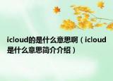icloud的是什么意思?。╥cloud是什么意思簡(jiǎn)介介紹）