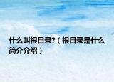 什么叫根目錄?（根目錄是什么簡介介紹）