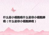 什么是小細(xì)胞癌什么是非小細(xì)胞肺癌（什么是非小細(xì)胞肺癌）