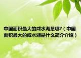 中國(guó)面積最大的咸水湖是哪?（中國(guó)面積最大的咸水湖是什么簡(jiǎn)介介紹）
