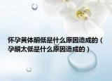 懷孕黃體酮低是什么原因造成的（孕酮太低是什么原因造成的）
