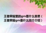 王者榮耀里的gm是什么意思（王者榮耀gm是什么簡(jiǎn)介介紹）