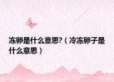 凍卵是什么意思?（冷凍卵子是什么意思）