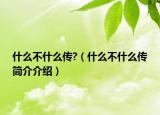 什么不什么傳?（什么不什么傳簡介介紹）