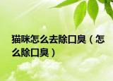 貓咪怎么去除口臭（怎么除口臭）