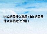 iris2結(jié)局什么意思（iris結(jié)局是什么意思簡(jiǎn)介介紹）