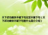 天下武功唯快不破下句無(wú)堅(jiān)不摧下句（天下武功唯快不破下句是什么簡(jiǎn)介介紹）
