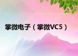 掌微電子（掌微VC5）