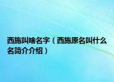 西施叫啥名字（西施原名叫什么名簡介介紹）