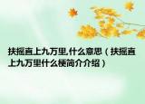 扶搖直上九萬(wàn)里,什么意思（扶搖直上九萬(wàn)里什么梗簡(jiǎn)介介紹）