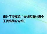 審計(jì)工資高嗎（會(huì)計(jì)和審計(jì)哪個(gè)工資高簡(jiǎn)介介紹）