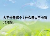 大王卡是哪個(gè)（什么是大王卡簡(jiǎn)介介紹）