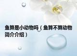 魚算是小動物嗎（魚算不算動物簡介介紹）
