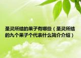 圣靈所結(jié)的果子有哪些（圣靈所結(jié)的九個果子個代表什么簡介介紹）