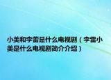 小美和李蕾是什么電視?。ɡ罾仔∶朗鞘裁措娨晞『喗榻榻B）